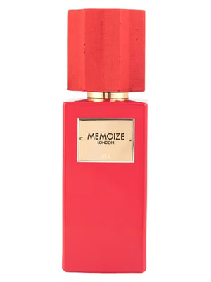 MEMOIZE  Vita