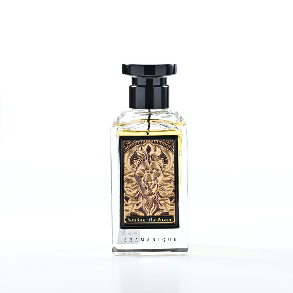 SHAMANIQUE YOU GOT THE POWER