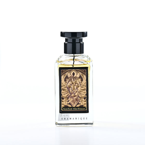 SHAMANIQUE YOU GOT THE POWER